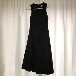 Lace Print New York and Company Eve Mendes Dress